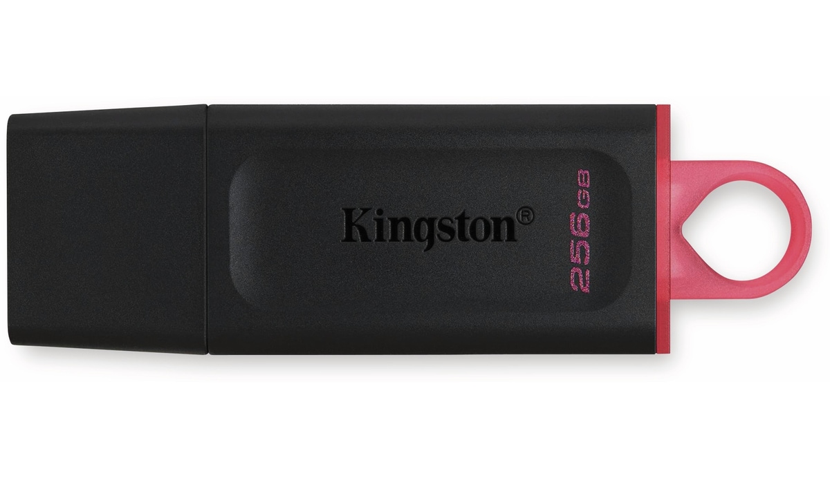 KINGSTON USB-Stick DataTraveler Exodia, USB 3.2, 256 GB von Kingston