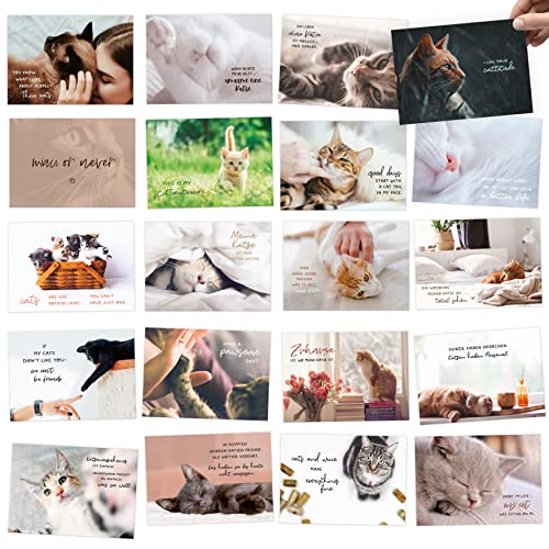 Kipitan 20 Postkarten Set zum Thema KATZEN - mit lustigen Sprüchen als Geschenk für Katzenliebhaber - zum Verschenken für Katzenmenschen, Freundin/Freund oder Kollegin & Kollegen von Kipitan