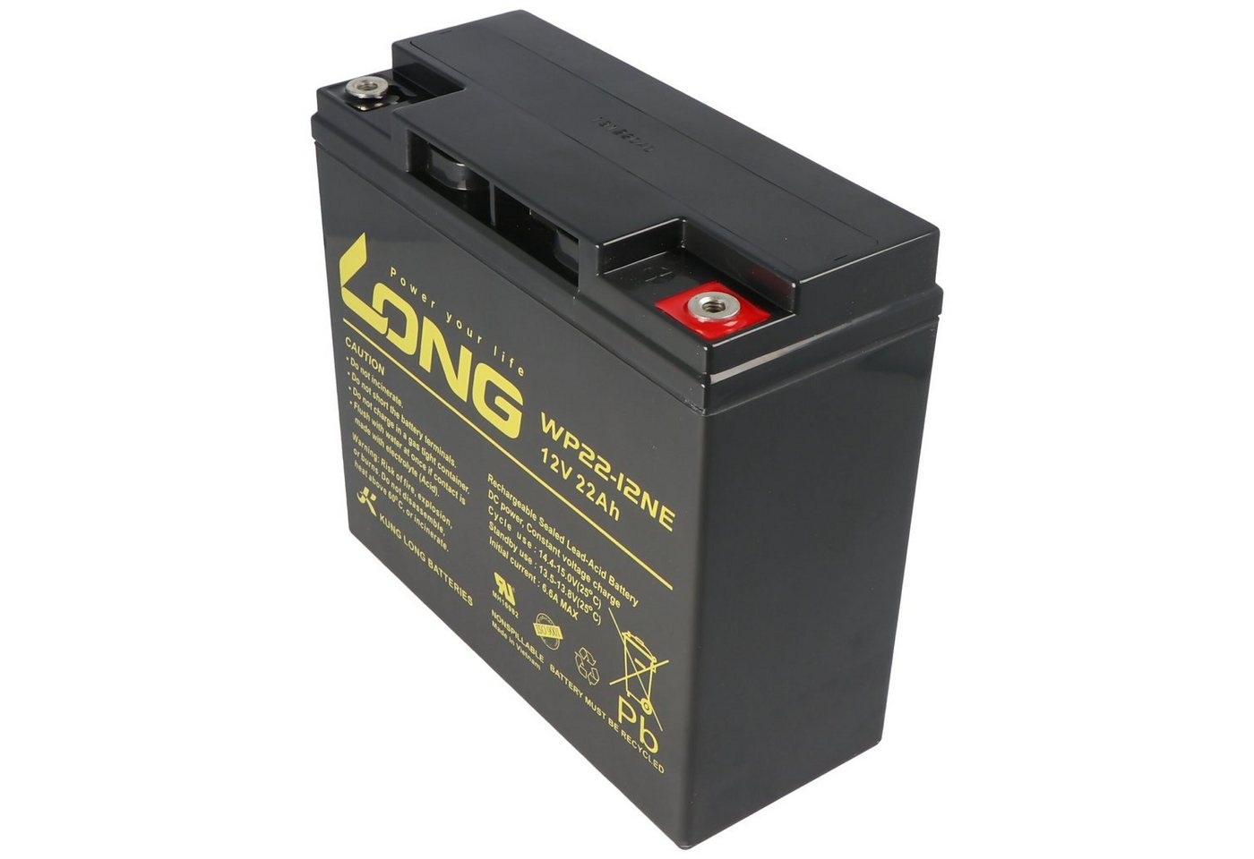 Kung Long Kung Long WP22-12NE Akku 12 Volt 22 Ah 181x76 x167mm, M6 Innengewinde Akku 22000 mAh (12,0 V) von Kung Long