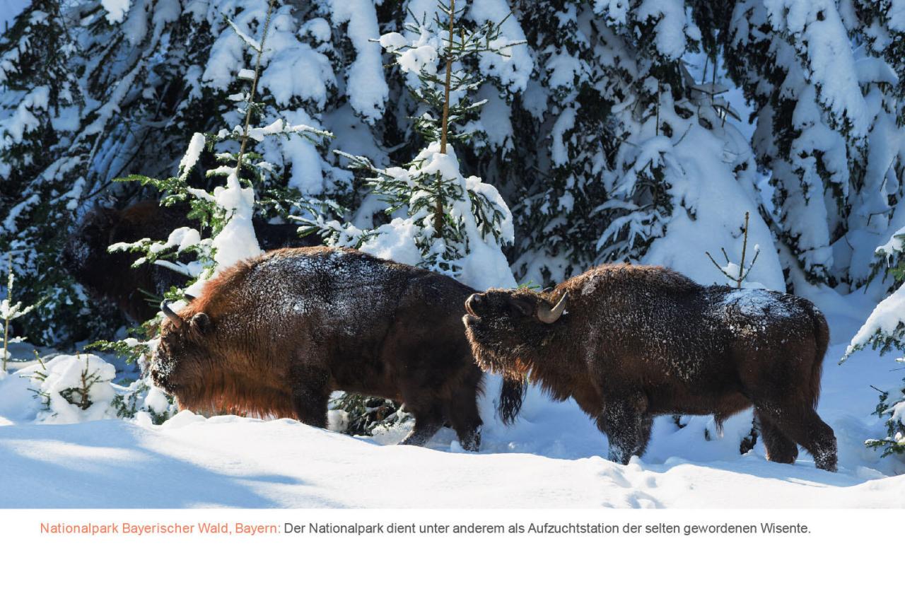 Kunth Tischquerkalender KUNTH Tischkal.Deutschland 24 von Kunth