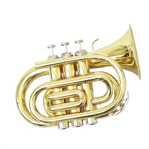Musikinstrument Trompete Standard-Trompete Bb Musikinstrument Trompete Tasche Gold Lackiert Taschentrompete von LANHESHI