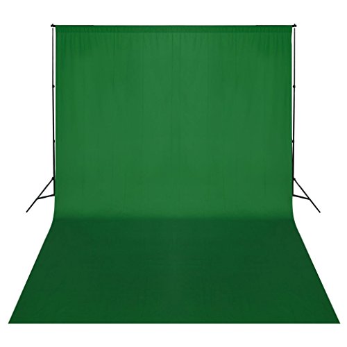 Fotohintergrund-System, LAPOOH Fotostudio Set, Fotohintergrund, Hintergrund Ständer, Fotohintergrund Ständer, Foto Hintergrundsystem, Fotohintergrund Set, 500 x 300 cm Grün von LAPOOH