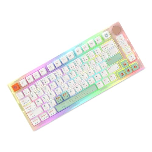 Qingyan-Tastenkappen für mechanische Tastaturen, PBT-Farbstoff-Tastenkappen für CherryMX-Schalter, Dye-sub PBT-Tastenkappen, 139 Tasten von LARUISEE