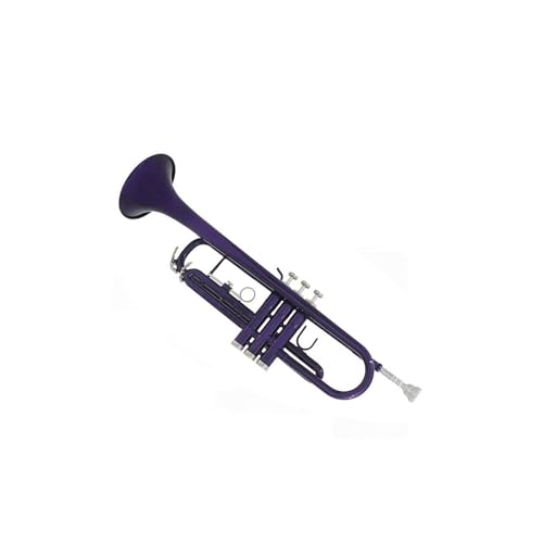 Miniatur Trompete Dunkelblau mit Zubehör Bb-Flachhorn exquisites Blechblasinstrument Trompete Trompete mit Kastenmundstück von LCSUHNI