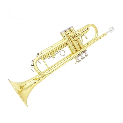 Miniatur Trompete Professionelle B-B-Trompete aus Messingmaterial Musiktrompete Blasinstrument mit Mundstück von LCSUHNI