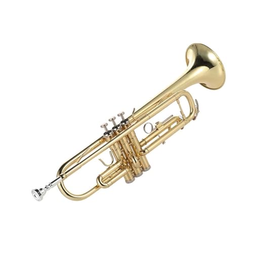 Miniatur Trompete Trompete Bb B flacher Mund Messing vergoldet exquisites und langlebiges Instrument mit Mundstückventil von LCSUHNI