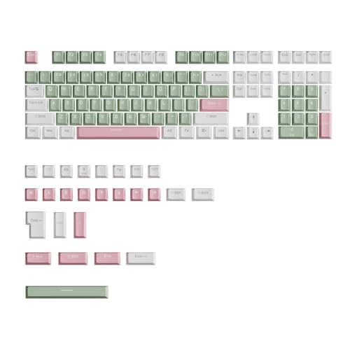 LEIDJGUN 134 Stück Tastenkappen OEM Höhe inspirierte Doppelschuss-Tastenkappen für mechanische Tastaturen, dicke Tastenkappen von LEIDJGUN