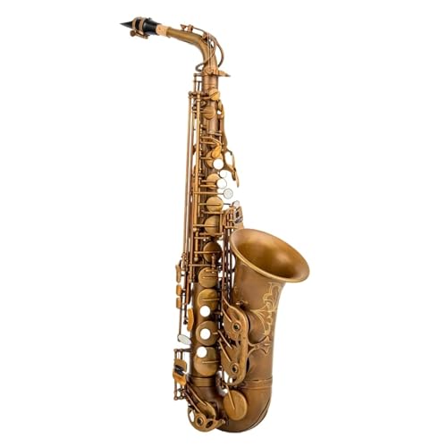 Saxophon Komplettset mit Alto Eb Tune Saxophon Ankunft Messing Musik Instrument Es Saxophon Mit Fall Zubehör(Bag A) von LJERFSW