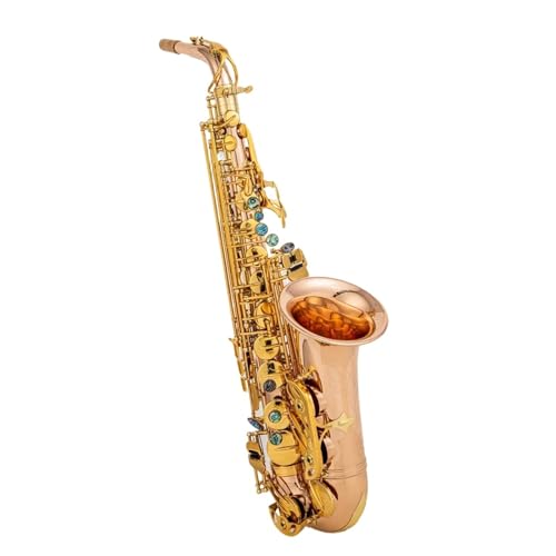 Saxophon Komplettset mit Altsaxophon Phosphor Bronze Kupfer Sax Altblätter Hals Musikinstrument(Bag B) von LJERFSW