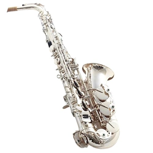 Saxophon Komplettset mit Klassisches Silbernes Altsaxophon E Flat Französisches Handwerksinstrument Handgeschnitztes Muster Altsaxophon(Bag A) von LJERFSW