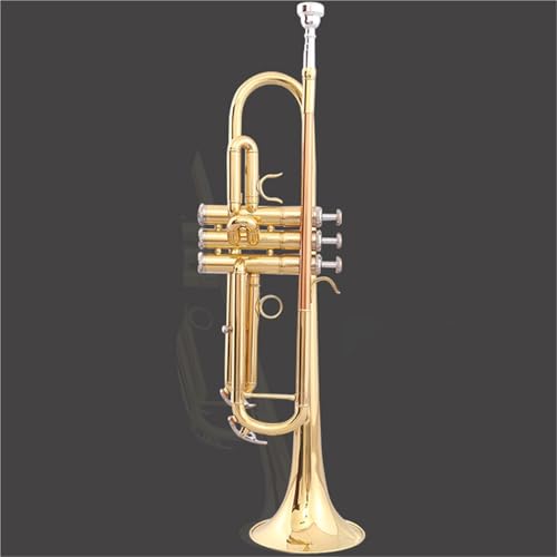 Standard Trompeten Set Einsteiger-Trompeten-Instrumentenschulorchester Anfänger-Trompete(200) von LJERFSW