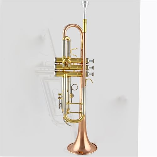 Standard Trompeten Set Einsteiger-Trompeten-Instrumentenschulorchester Anfänger-Trompete(300) von LJERFSW