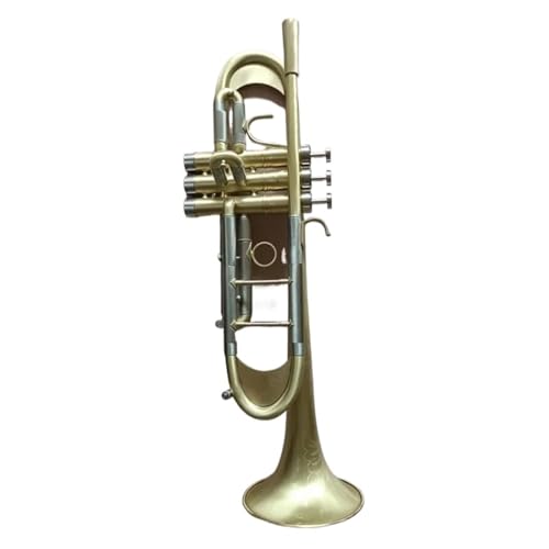 Standard Trompeten Set Trompete Messing Musikinstrumente Versilbert Bc-Trompete Mit Handschuhetui(Gold) von LJERFSW