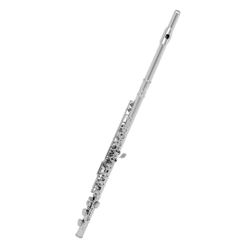 LJRRTYQ Querflöte 16 Geschlossene Offene Löcher C-Flöte Professionelles Querflöte Konzertmusikinstrument Mit Box Stoffstockhandschuhe(Silver) von LJRRTYQ