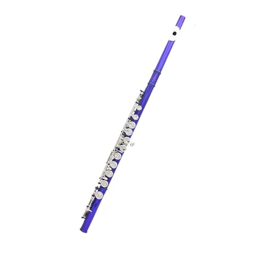 Querflöte 16-Loch-Flöte C-Tonart Farbflöte E-Tonart Anfänger Erwachsener Professionelles Spielinstrument Flöte(Blue) von LJRRTYQ