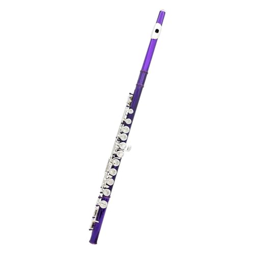 Querflöte Flöte Mit 16 Geschlossenen Löchern C-Tonart Silberflöte Mit Lederetui Professionelle Konzertflöte Holzblasinstrument(Purple) von LJRRTYQ