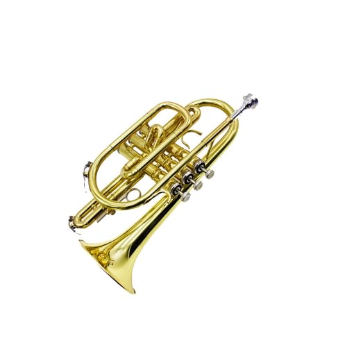 Trompete Kornett Lack Gold Kornett Bb Kornett Messing Kornett Professionelles Performance Instrument Kornett von LJRRTYQ