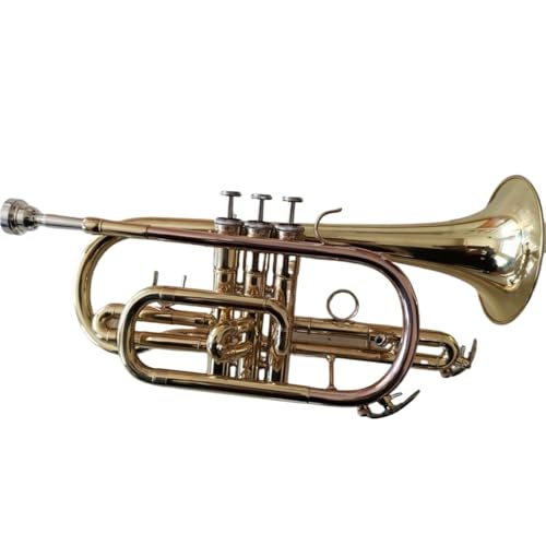 Trompete Trompete Kornett Instrument Professioneller Messingkorpus B Flat Tune Goldlack Kornett von LJRRTYQ