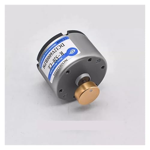 RC-520 Vibration electronic starter DC Vibrator electronic starter 6v12v24v Small Massager High Power Motor Drivers(Double round head,24V 10000RPM) von LOFWSGPRX