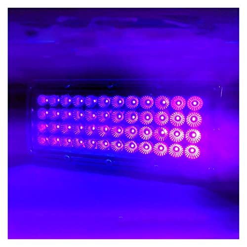 UV-Harz-Härtungslichtlampe 500W 395nm 405nm 365nm Led UV-GEL-Härtungslampe Druckmaschine Glastinte Siebdruckversion UV-Härtungslampe(395nm) von LOMCOT