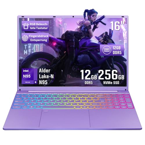 LONGEVINCE 16 Zoll Laptop, 12 GB DDR5 RAM,1920 * 1200 HD-Display, Celeron N95-Prozessor (bis zu 3,4 GHz), 180° Scharnierdesign, ideal für Büro und Studium(Lila, 12GB+256G SSD) von LONGEVINCE