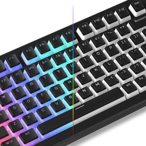 LQXQ Pudding Keycaps PBT 100% Tastatur 130 Tasten, Shine Through Keycaps, Custom Keyboard Keycaps OEM Profil für 100%, 75%, 65%, 60% MX-stem Switches Tastaturen, Schwarz (ISO DE Nicht unterstützt) von LQXQ