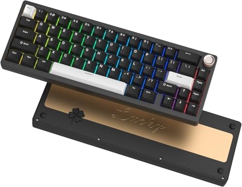 LQXQ SK65 Mechanische Gaming-Tastatur Kabellose, 60 Prozent Aluminium Tastatur, Bluetooth 5.0/2.4GHz/USB-C Wired Hot Swappable Custom RGB Backlit Keyboard für Mac Computer PC, Retro Cremig Schwarz von LQXQ