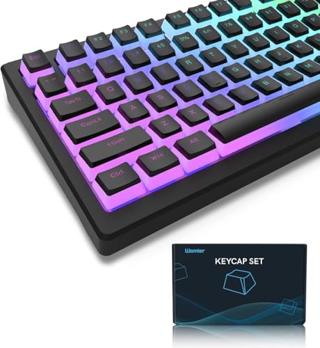 LQXQ Pudding Keycaps PBT, 165 Tasten Custom Keycap Set, OEM Profil der Tastenkappen ANSI US Layout, Universelle Kompatibilität für Tastaturen 100%, 75%, 65%, 60% - Schwarz (ISO Nicht unterstützt) von LQXQ