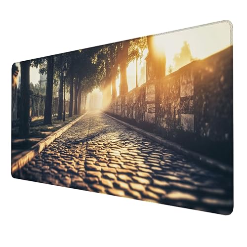 Mauspad (900x400x3mm) Gaming Mausepad, Vernähte Kanten Mouse Pad verbessert Geschwindigkeit und Präzision, Rutschfest und Wasserdicht Komfort Mousepad, (Grau) xxl mauspad für PC, Computer (Straße) W6O von LUESSJAO