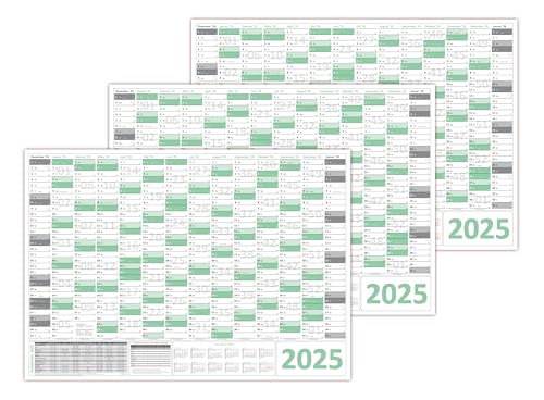 3 Stück Green Wandkalender/Wandplaner 2025 (gerollt) DIN A0 Format (841 x 1189 mm) 14 Monate, komplette Jahresvorschau Folgejahr und Ferientermine/Feiertage aller Bundesländer von LYSCO