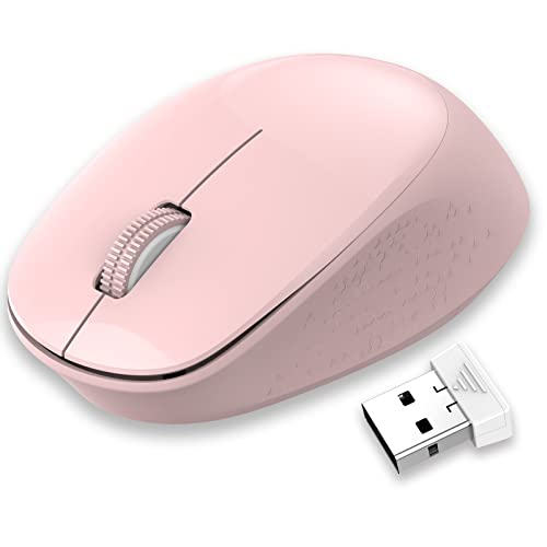 LeadsaiL Wiederaufladbare Kabellose Bluetooth Maus, 2.4G Funkmaus+Bluetooth Maus, Optische Leiser klick Maus, ON-Off-Schalter Computermaus mit Nano Empfänger, USB-Kabel für (E702UK-06) von LeadsaiL