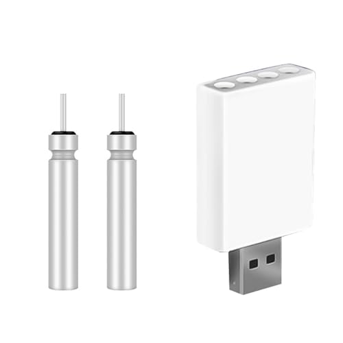 LearnLyrics Angelposenbatterie, CR425 Leuchtende Angelposenbatterie und Ladegerät-Set, USB für Powerbank-Ladecomputer von LearnLyrics