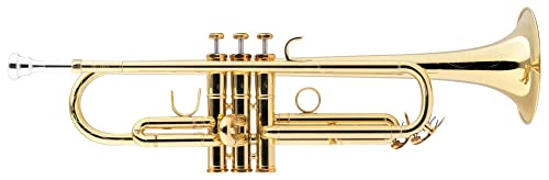 Lechgold TR-18LW Bb-Trompete Lightweight lackiert - Klarlackierte Trompete in Bb - Aus Messing - Schallbecher-Ø: 124 mm - Edelstahl-Ventile - ML-Bohrung: 11,68 mm - Inkl. Leichtkoffer von Lechgold