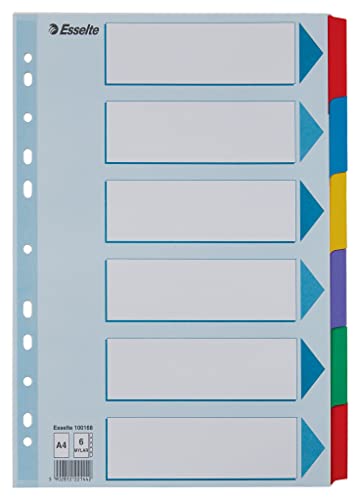 Leitz Esselte Register für A4, Deckblatt und 6 Trennblätter mit Taben, Blau/Mehrfarbig, Recyclingkarton, 100168 von Leitz