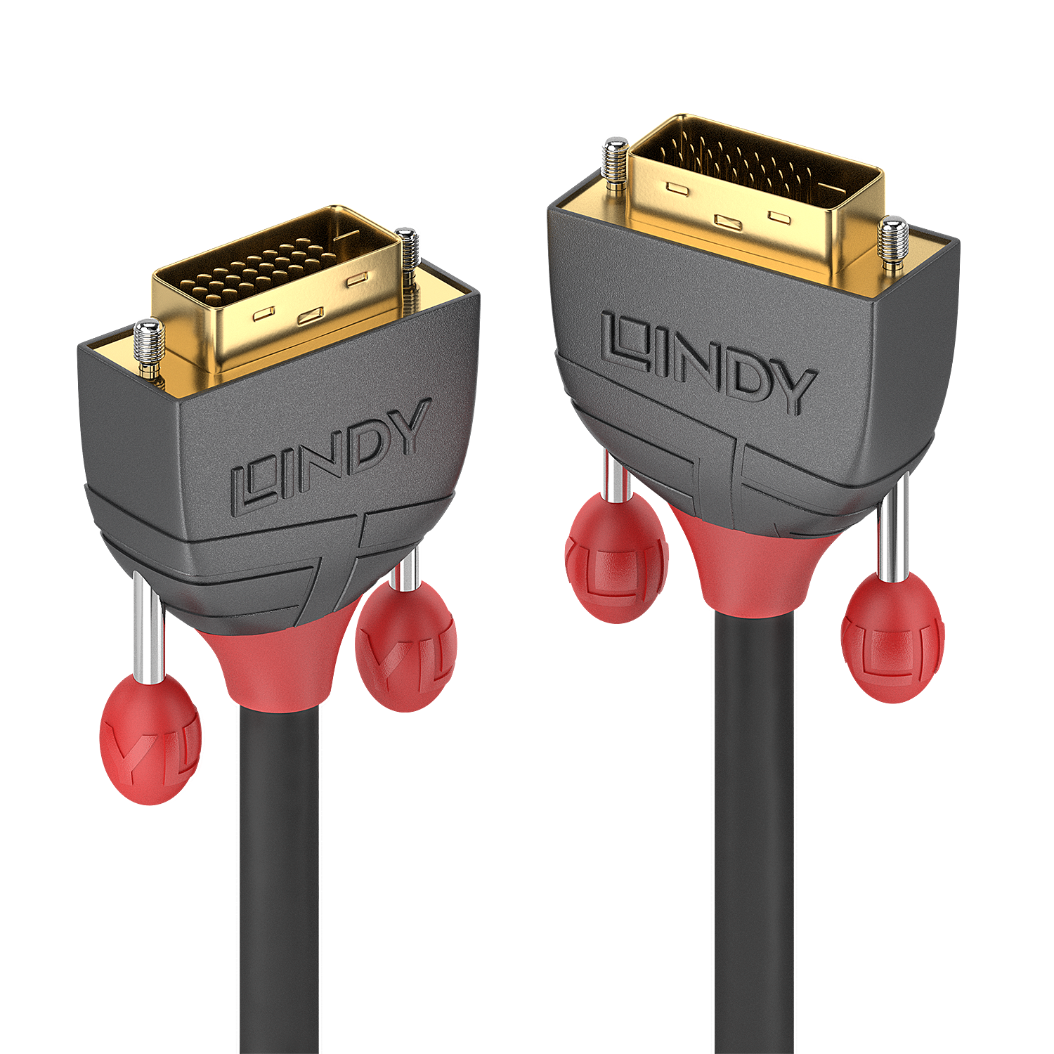 Lindy Anthra Line - DVI-Kabel - Dual Link - DVI-D (M) bis DVI-D (M) - 20,0m - rund, Daumenschrauben - Schwarz (36228) von Lindy