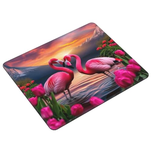 Mauspad Flamingo, Multifunktionales Schreibtischunterlage, Genähten Kanten Tisch-Schutz Unterlage, rutschfeste Mousepad für Gaming und Büro, Verbessert Präzision Geschwindigkeit 300x250cm E-61 von Lionhai