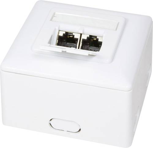 LogiLink Netzwerkdose Aufputz CAT 6 2 Port Weiß LogiLink Netzwerkdose Aufputz CAT 6 2 Port Weiß von Logilink