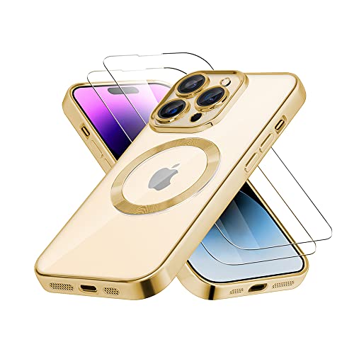 Luoiwei Magnetisch 3D Hülle für iPhone 11 Pro Max, Kompatibel mit MagSafe, [Eingebauter Linsenfolie] [2X Panzerglas] Transparent Handyhülle Staubdicht Kratzfeste Slim Soft Silikon Cover Case, Gold von Luoiwei