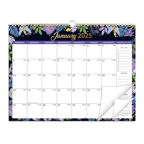 2025 Calendar Wall - Monthly Calendars From Jan. 2025 To Dec. 2025, 2025 Wall Calendar, Calendar 2025 | 365-day Calendar, Punch In Wall Scheduler for Home School Dorm, 15x11 Inches von Lyricalist