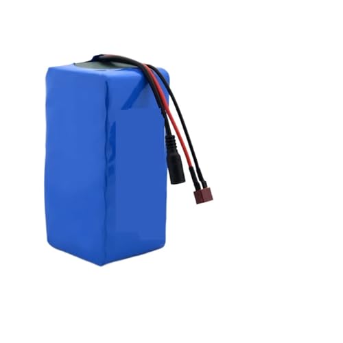 Dreirad-Elektrofahrrad-Lithium-Ionen-Akku, 60 V, 16S2P, 20 Ah, 18650, 67,2 V, 20000 mAh, 40 A, 750 W, 1000 W(DC-Tplu Charger 1PCS) von MEIVIYA