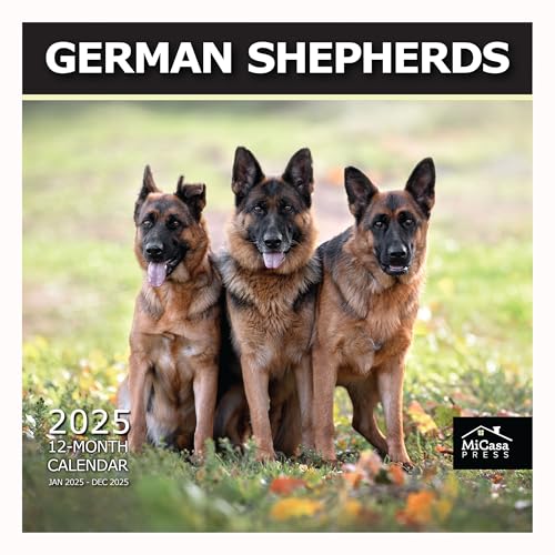 MICASA Deutscher Schäferhund 2025 Monats-Wandkalender zum Aufhängen, 30,5 x 61 cm offen, dickes und stabiles Papier, Geschenk, niedlicher Hund von MICASA PRESS