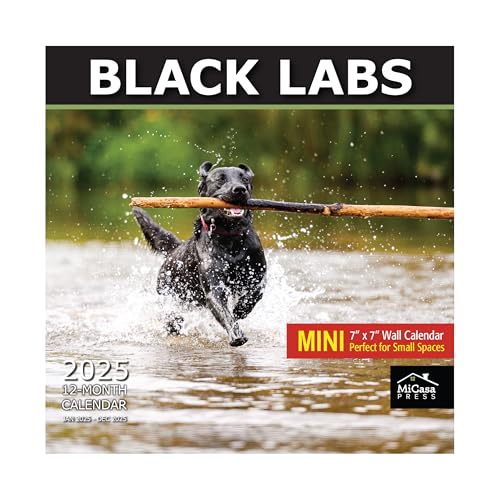 Micasa Small Spaces Mini-Wandkalender – Black Labs 2025, monatlich aufhängbar, nur 17,8 x 35,6 cm offen, dickes und stabiles Papier, Geschenk, niedlicher Hund von MICASA PRESS