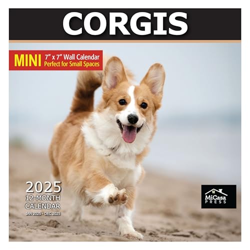 Small Spaces Mini-Wandkalender – Corgis 2025 monatlich zum Aufhängen von Micasa, nur 17,8 x 35,6 cm offen, dickes und stabiles Papier, Geschenk, niedlicher Hund von MICASA PRESS