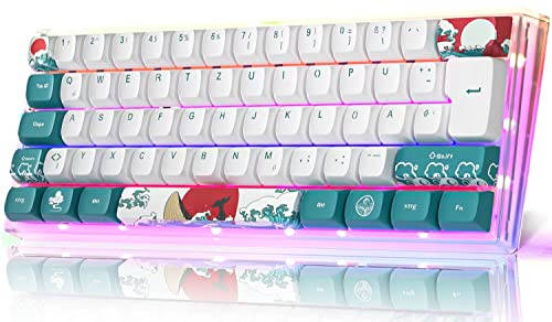 MIHIYIRY AK62 Mechanische Gaming-Tastatur, 60% kompakte, Tastatur mit RGB-Hintergrundbeleuchtung PBT-Typ-C-Kabel für Win/Mac-Gamer MIHIYIRY AK62 Mechanische Gaming-Tastatur, 60% kompakte, Tastatur mit RGB-Hintergrundbeleuchtung PBT-Typ-C-Kabel für Win/Mac-Gamer von MIHIYIRY