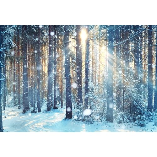 MIRRORANG 2,2x1,5m Winter Wald Hintergrund Winterlandschaft Es schneit Sonnenschein Halo Weihnachten Hintergrund für Fotografie Neujahr Dekor Weihnachten Foto Krippe Ostern Dekoration, Vinyl von MIRRORANG