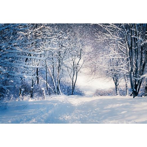 MIRRORANG 2,5x1,8m Verschneiter Wald Hintergrund Winter Schnee EIS Schneelandschaft Fotografie Hintergrund Pro Weihnachten Ferien Neujahr Feier Poster Foto Studio Requisiten, Vinyl von MIRRORANG