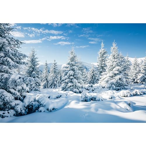 MIRRORANG 3x2,5m Hintergrund Outdoor Schnee Szene Kiefer Himmel Outdoor Party Frozen Poster Weihnachtshintergründe für Fotoshooting Silvester Party Decor Fotostudio Prop, Vinyl von MIRRORANG