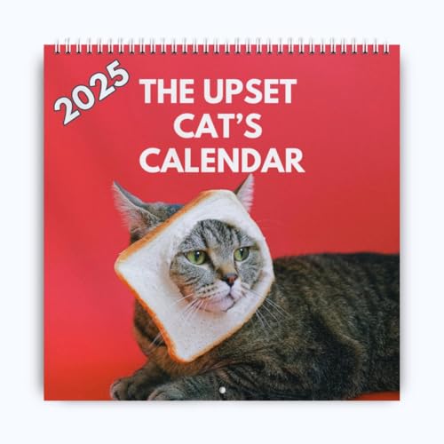 MOLERRI Kalender "Verärgerte Katzen" 2025 - eine Absolut Witzige Art, Den Überblick zu Behalten. Katzenkalender 2025 von MOLERRI