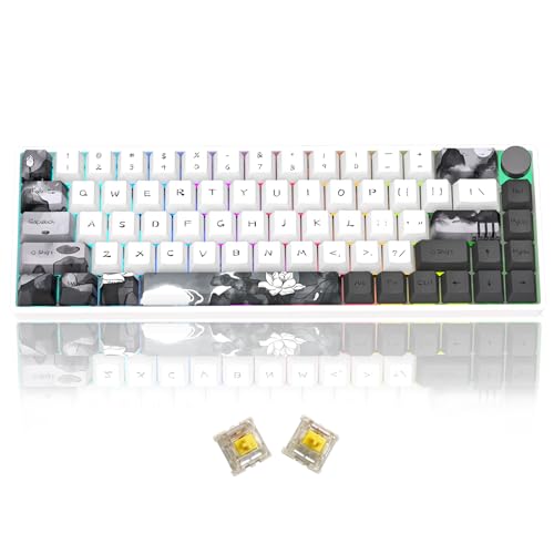 MOLGRIA GK68 68-Tasten-Gaming-Tastatur mit RGB-Hintergrundbeleuchtung und Tintenlotus-Tastenkappen, Hot-Swap-fähigen Gelb Mechanischen Gateron-Schaltern, Triple-Mode-Verbindungstastatur mit Knopf von MOLGRIA