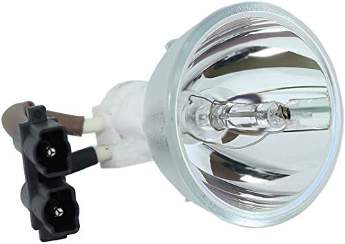 Kompatible Bare Bulb EC.J4301.001 für Acer XD1280D Projektor Lampenbirne Ohne Gehäuse von MZWNQ